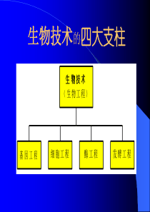 发酵工程-生物技术时代中的