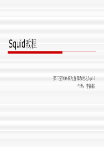 Squid教程