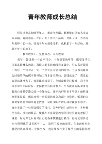 青年教师成长总结