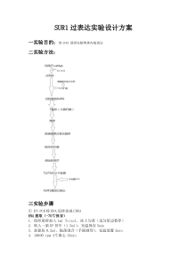 SUR1过表达实验设计方案