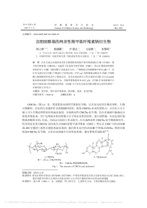 含胆固醇基的两亲性羧甲基纤维素钠衍生物