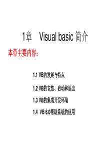 VB的发展与特点