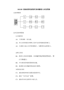 R111B石脑油应急预案