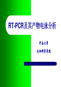 RT-PCR及其产物电泳分析20161101