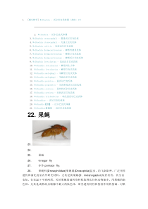 Wolbachia对果蝇抗铅能力的影响及机理研究