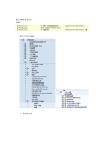 SAP中国本地化-凭证月度编号