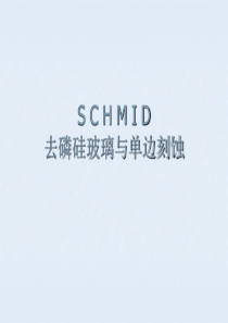 SCHMID去磷硅玻璃与单边刻蚀.