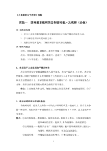 xu《解剖生理学实验》教案