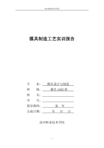 模具制造工艺实训报告XXXX