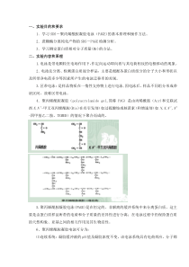 SDS-PAGE检测分析