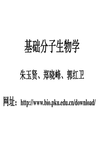 基础分子生物学