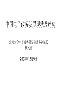 电子政务研究院常务副院长杨凤春