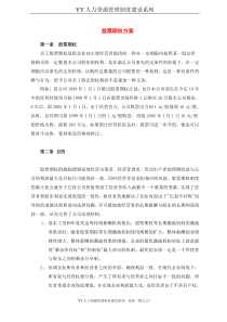 YY人力资源管理制度建设系列股票期权方案