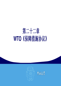 WTO《保障措施协议》新.ppt