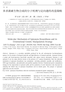 多杀菌素生物合成的分子机理与定向遗传改造策略