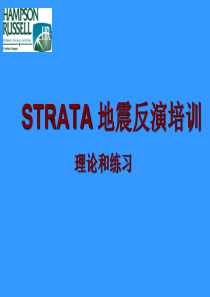 strata中文培训