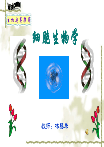 奥赛辅导细胞生物学