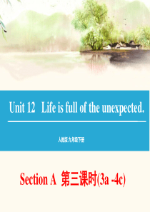 unit12_life_is_full_of_the_unexpected_SECTION_A_3a