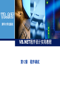 VB程序调试.