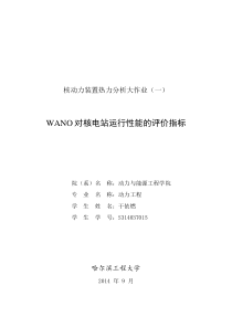 WANO对核电站运行性能的评价指标