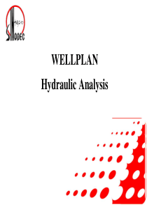 wellplan--水力参数计算.