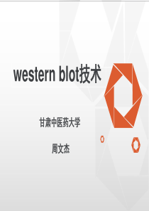 westernblot实验技术及常见问题探讨-珍藏版.