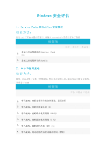 Windows安全评估