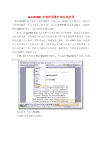 Word2003中怎样设置自动生成目录