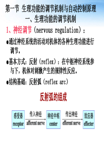 WZF神经系统的结构与功能,讲座