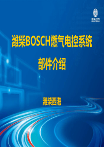 BOSCH燃气电控系统部件介绍