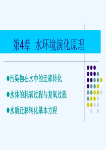 教案第4章水环境演化原理