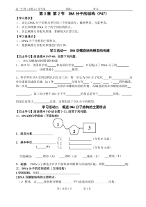 DNA的结构学案