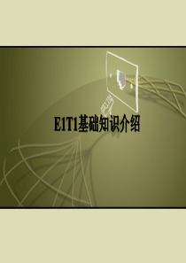 E1T1基础知识介绍