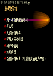 微生物及检验学教学课件下载