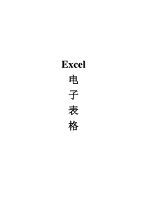 Excel电子表格教程