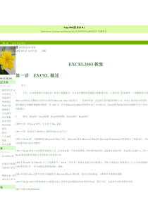 excle2003实用教案