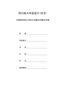 F05356000字2XX钢铁贸易公司会计电算化存在的问题及对策