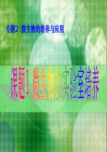 微生物培养