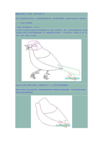 Flash鼠绘新手入门教程简简单单画小鸟