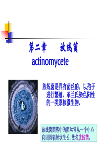 微生物学放线菌部分资料