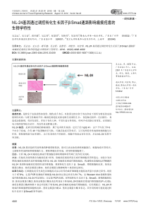 hIL-24基因通过调控转化生长因子βSmad通路影响瘢痕疙瘩的生物学特性