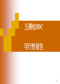 IDC投资策划书