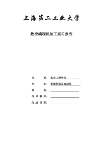 数控编程及加工实习报告（PDF35页）