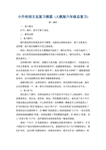 小升初语文总复习教案