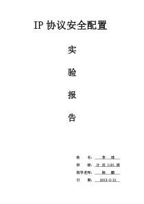 IP协议安全配置