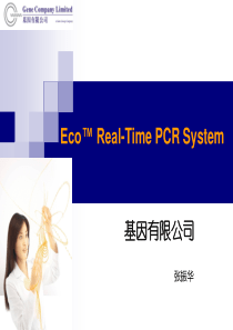 Illumina-Eco荧光定量PCR