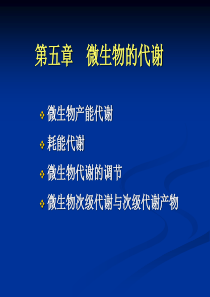 微生物的代谢-第二章微生物的纯培养和显微技术