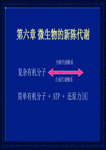 微生物的新陈代谢