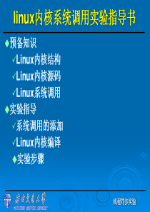 linux内核系统调用实验指导书