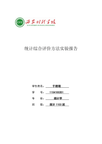 MCE现代综合评价AHP案例分析